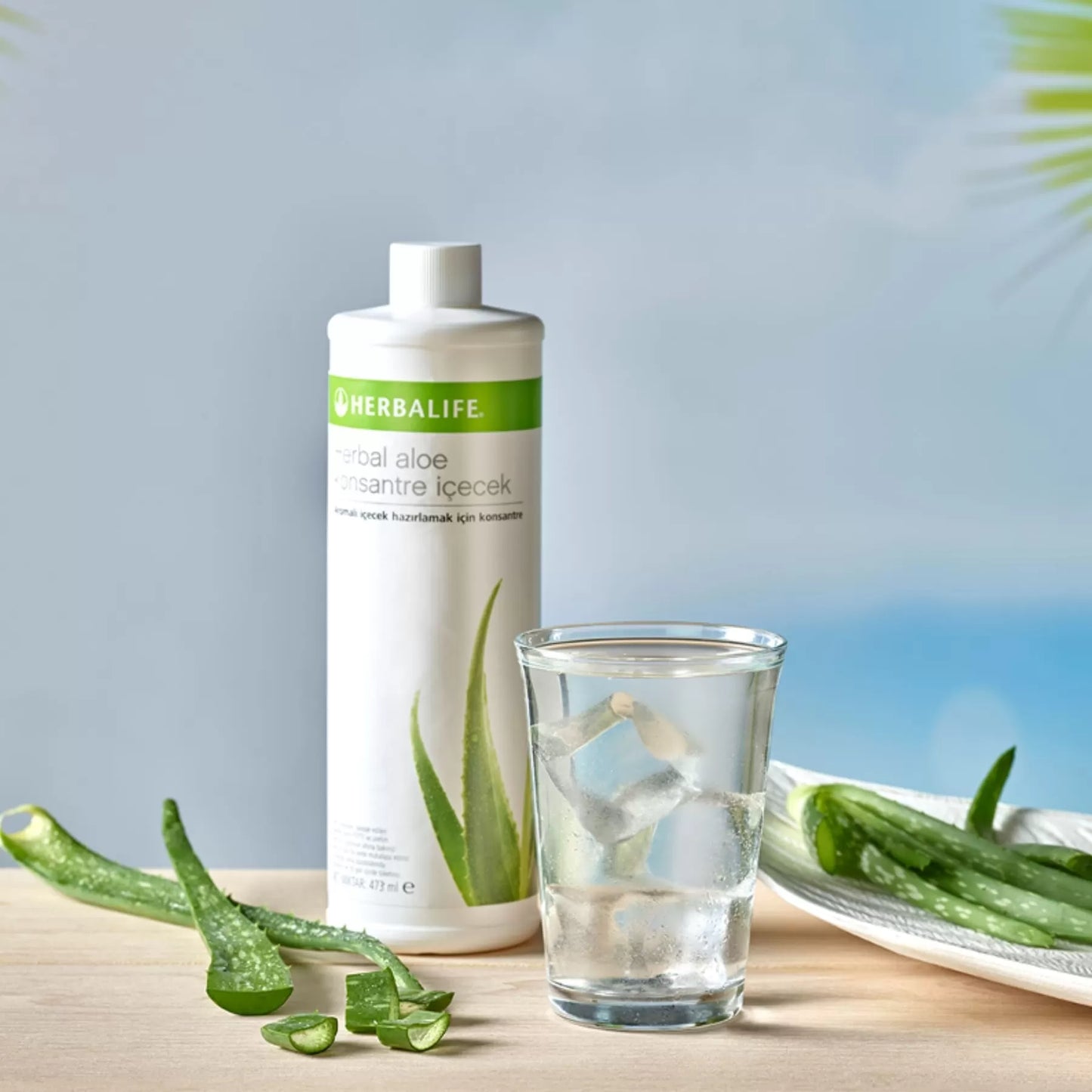 Herbalife Aloe Vera Suyu Ne İse Yarar
